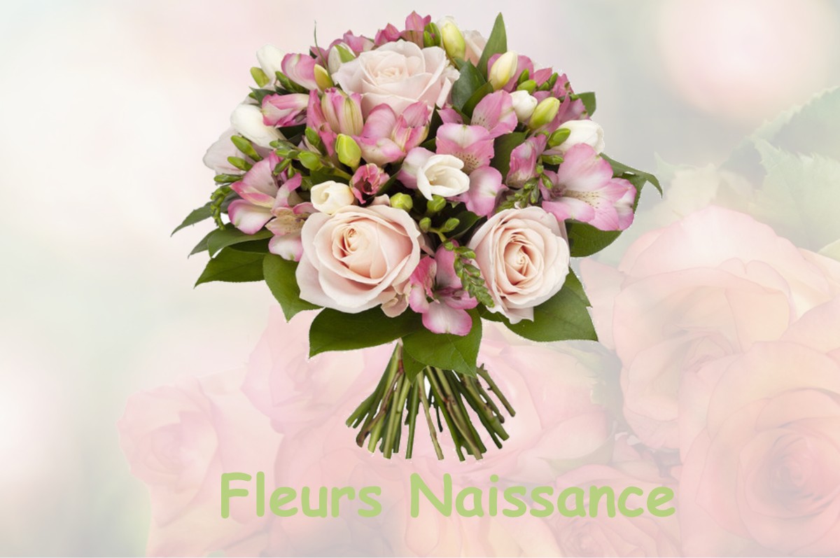 fleurs naissance LA-NEUVILLE-SAINT-PIERRE